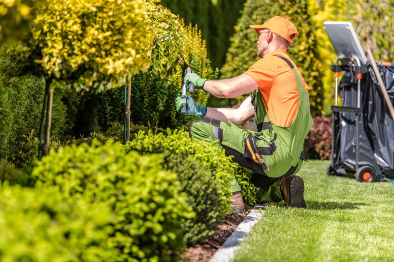 Landscaping Edging Service